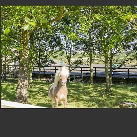 Σπίτι διακοπών Thistle 5 Star Luxury With Hot Tub *